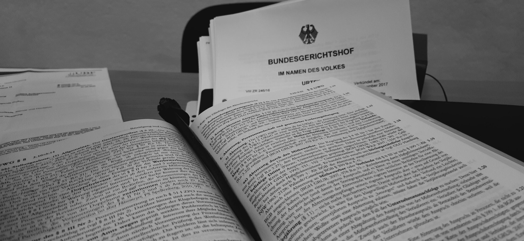 Juristische Fachliteratur und Entscheidung des Bundesgerichtshofs